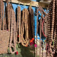 Yatri Hotel And Lodge and Rudrakshya Shop